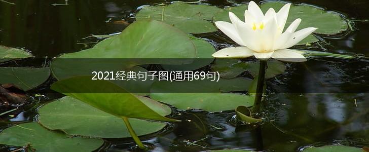 2021经典句子图(通用69句),第1张