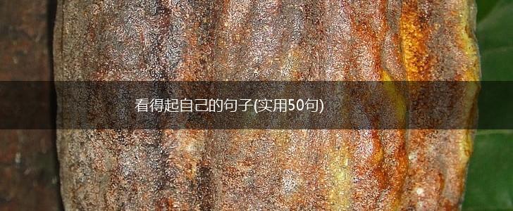 看得起自己的句子(实用50句),第1张