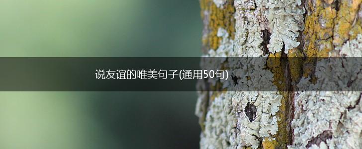 说友谊的唯美句子(通用50句),第1张