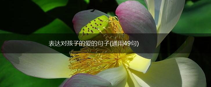 表达对孩子的爱的句子(通用49句),第1张