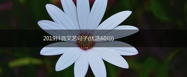2019抖音文艺句子(优选60句),第1张