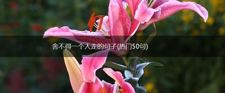 舍不得一个人走的句子(热门50句),第1张