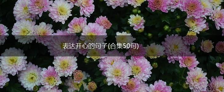 表达开心的句子(合集50句),第1张