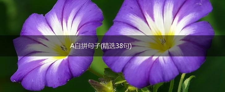 A自拼句子(精选38句),第1张