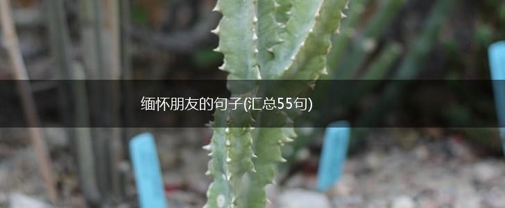 缅怀朋友的句子(汇总55句),第1张
