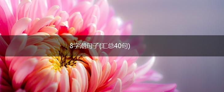 8字潮句子(汇总40句),第1张