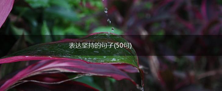 表达坚持的句子(50句),第1张