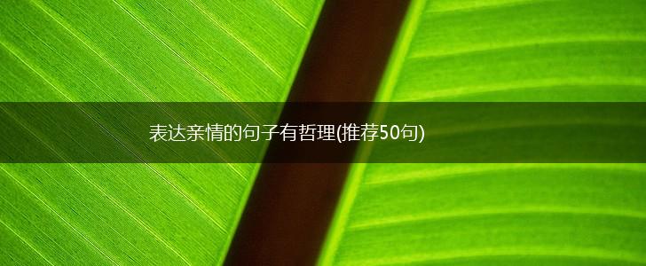 表达亲情的句子有哲理(推荐50句),第1张