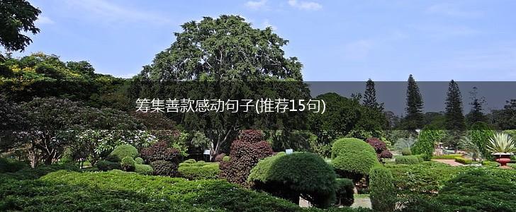 筹集善款感动句子(推荐15句),第1张