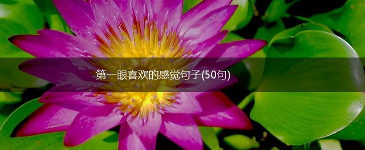 第一眼喜欢的感觉句子(50句),第1张