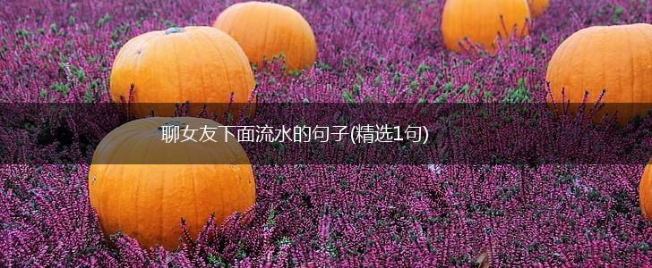 聊女友下面流水的句子(精选1句),第1张