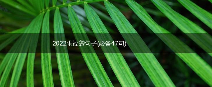 2022求福袋句子(必备47句),第1张