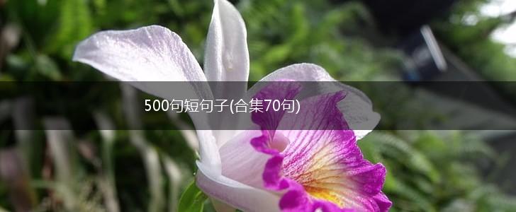 500句短句子(合集70句),第1张