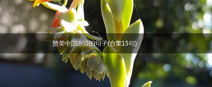 赞美中国古诗的句子(合集15句),第1张