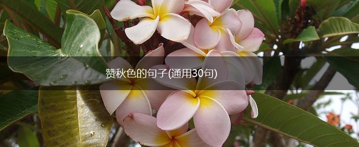 赞秋色的句子(通用30句),第1张