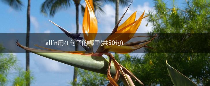 allin用在句子的哪里(共50句),第1张
