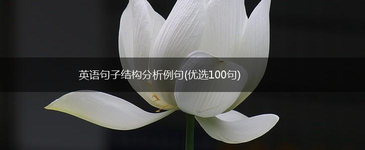 英语句子结构分析例句(优选100句),第1张