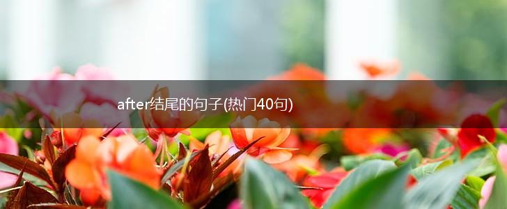 after结尾的句子(热门40句),第1张