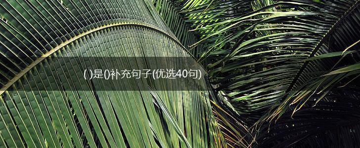 ( )是()补充句子(优选40句),第1张
