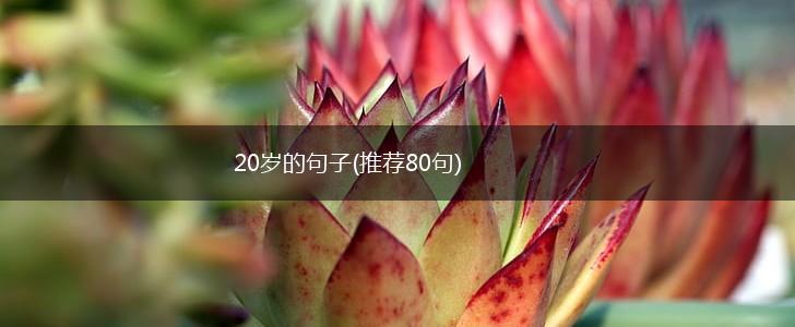 20岁的句子(推荐80句),第1张