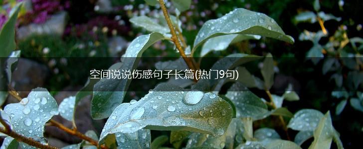 空间说说伤感句子长篇(热门9句),第1张