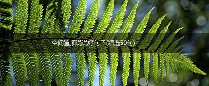 空间置顶说说好句子(精选50句),第1张