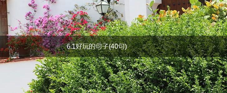 6.1好玩的句子(40句),第1张