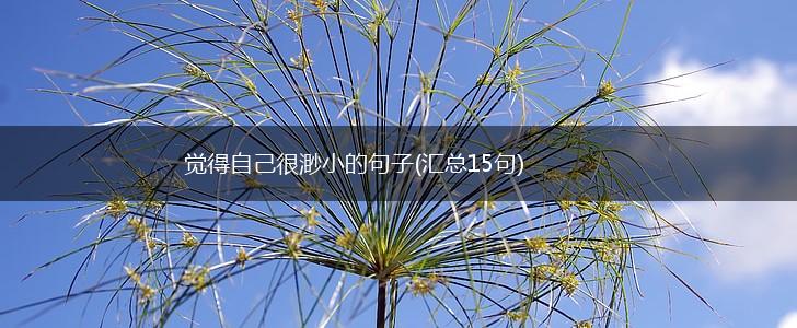 觉得自己很渺小的句子(汇总15句),第1张