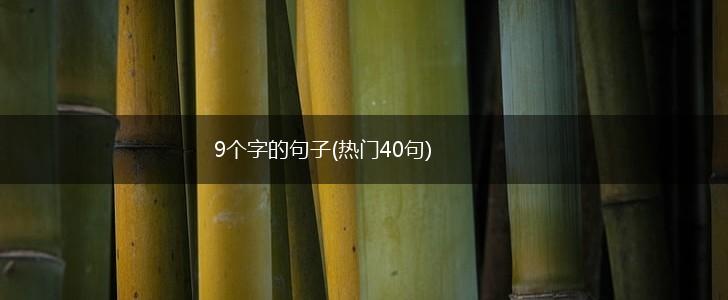 9个字的句子(热门40句),第1张