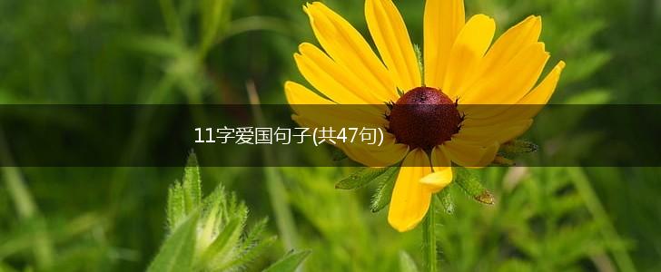 11字爱国句子(共47句),第1张
