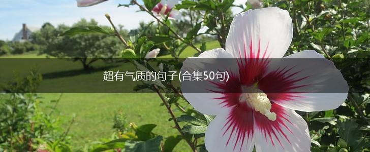 超有气质的句子(合集50句),第1张