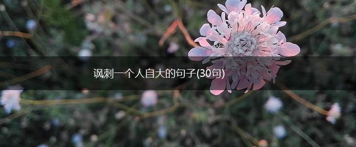 讽刺一个人自大的句子(30句),第1张