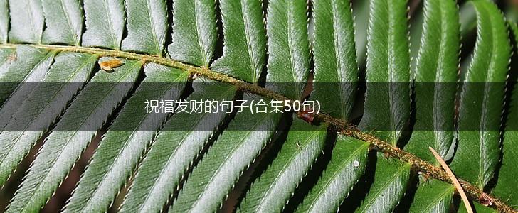 祝福发财的句子(合集50句),第1张