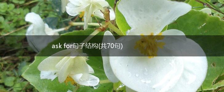 ask for句子结构(共70句),第1张