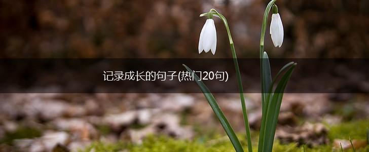 记录成长的句子(热门20句),第1张