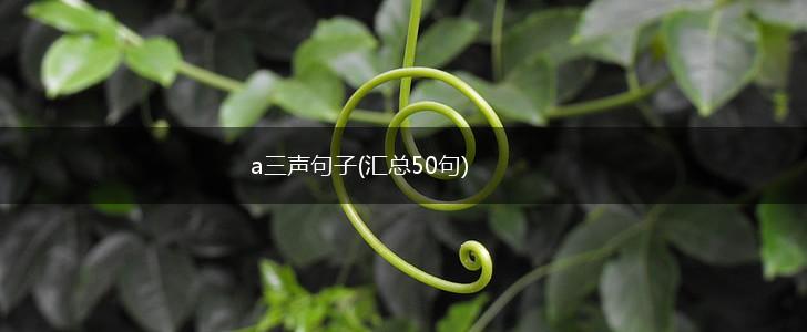 a三声句子(汇总50句),第1张