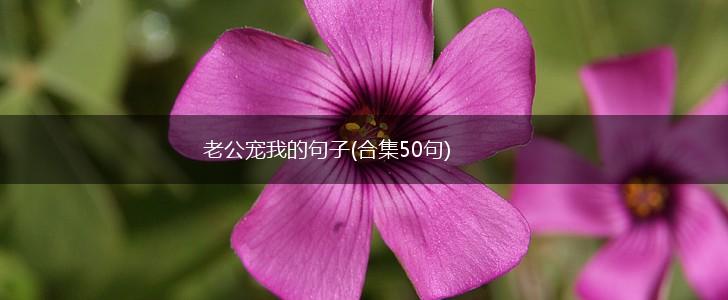 老公宠我的句子(合集50句),第1张