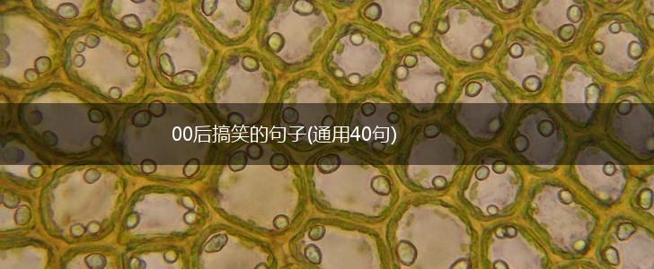 00后搞笑的句子(通用40句),第1张