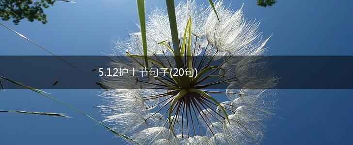 5.12护士节句子(20句),第1张