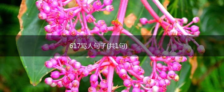 617骂人句子(共1句),第1张