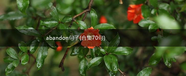 abandon句子(合集70句),第1张