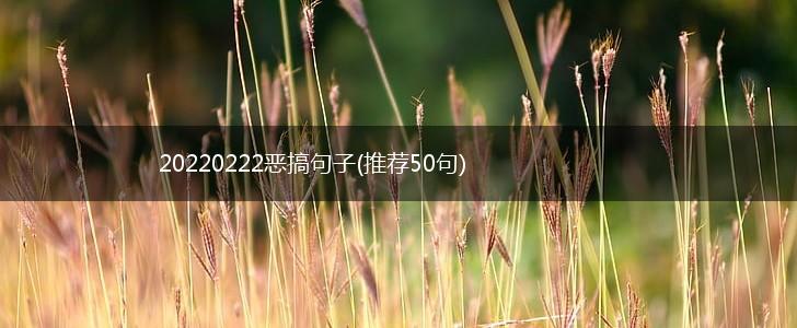 20220222恶搞句子(推荐50句),第1张