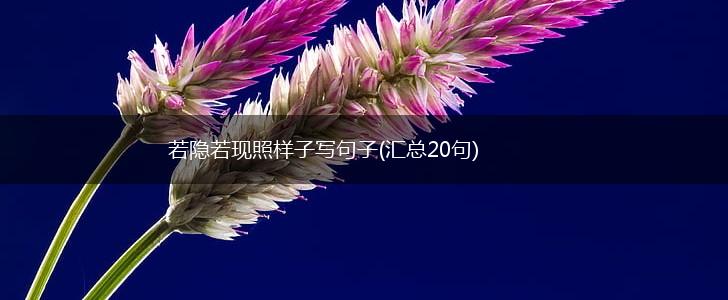 若隐若现照样子写句子(汇总20句),第1张