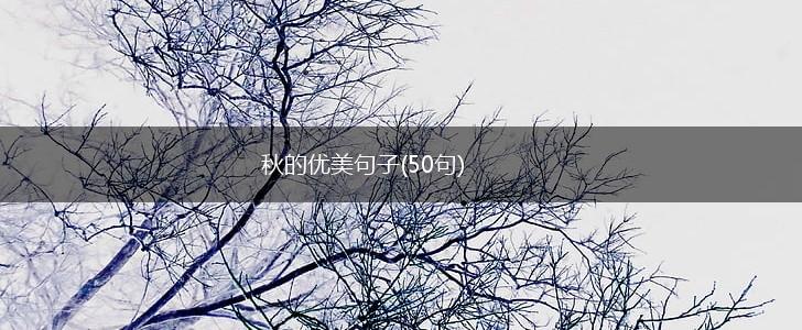 秋的优美句子(50句),第1张