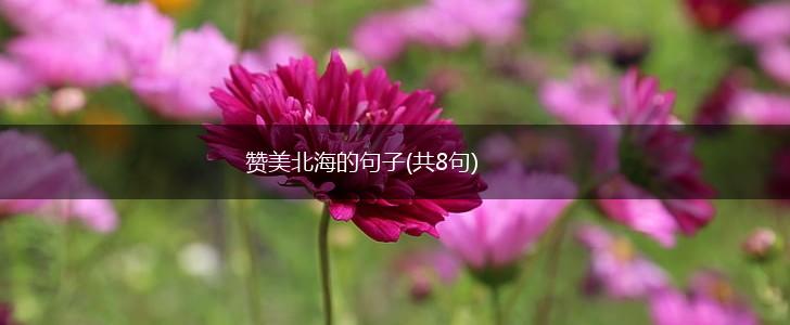 赞美北海的句子(共8句),第1张