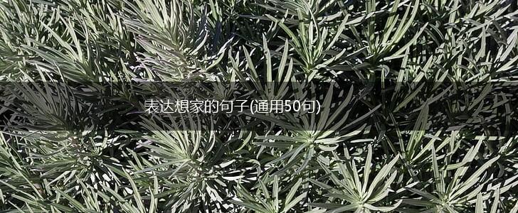 表达想家的句子(通用50句),第1张
