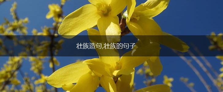 壮族造句,壮族的句子,第1张