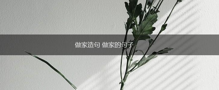 做家造句 做家的句子,第1张