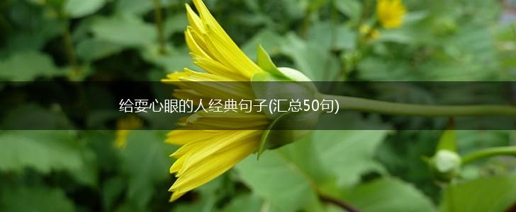 给耍心眼的人经典句子(汇总50句),第1张