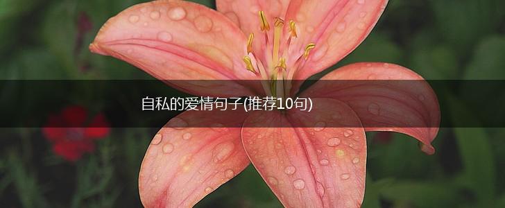 自私的爱情句子(推荐10句),第1张